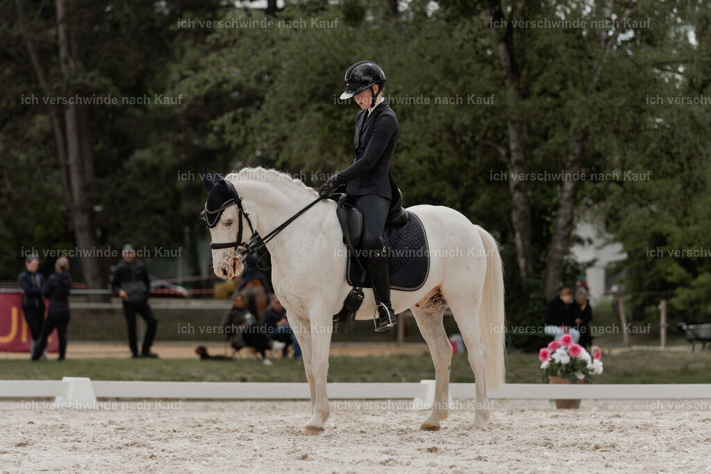 WE_DR_Stoib_341_PI2025_825 | Pferd International München 2025