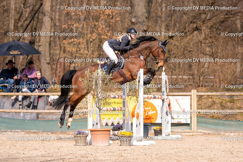 Kranichstein Tag 2-1903 | dv-media-shop - Realisiert mit Pictrs.com