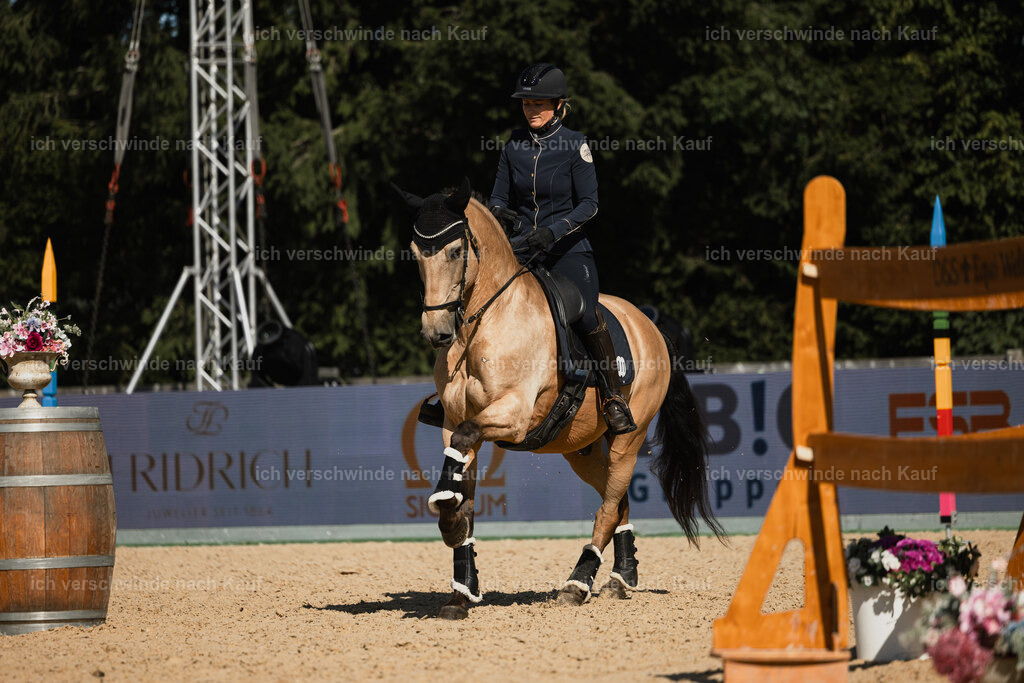 Diana11_FHC2025-27551 | working equitationturnier fotograf videograf stoibphotography marixx film working equitation deutschland reitsport turnierfotografie eventfotografie equestrian events