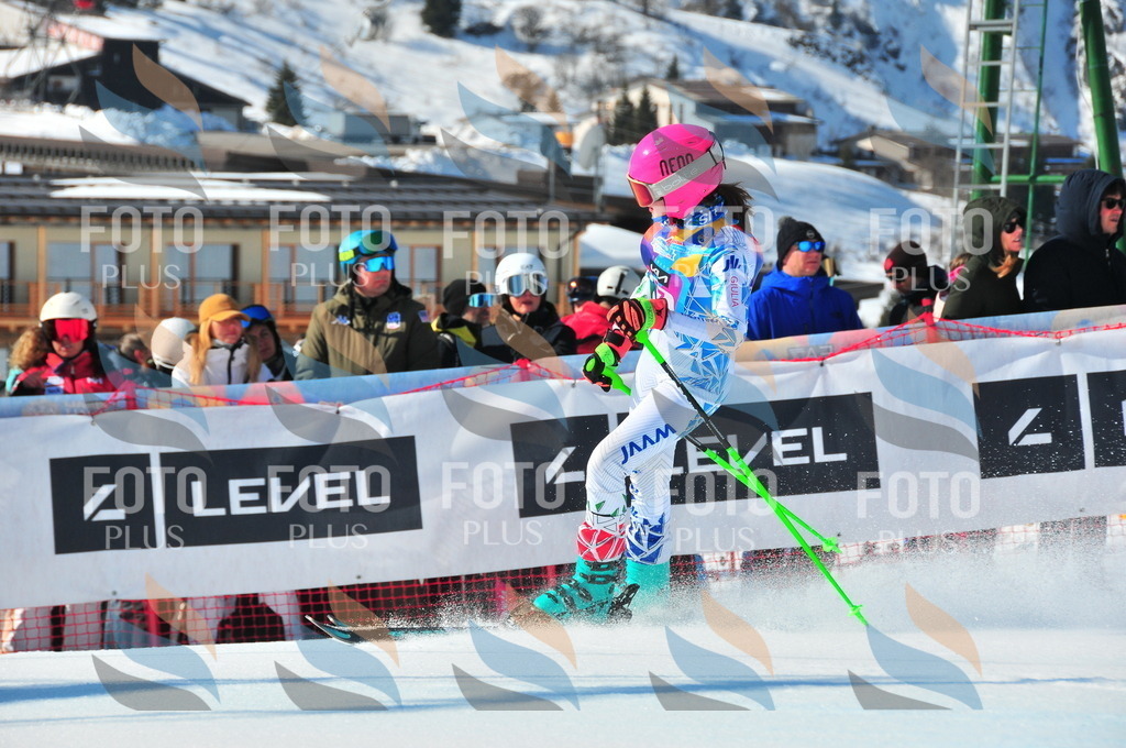 DSC_4166 | holidayphoto