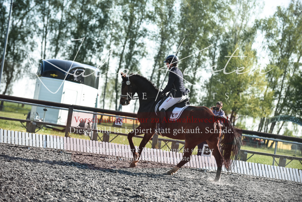 DSC_8294 | Pferde- und Turnierfotografie in Westsachsen. Pferdeportraits, Auftragszeichnungen und intuitive Kunst.