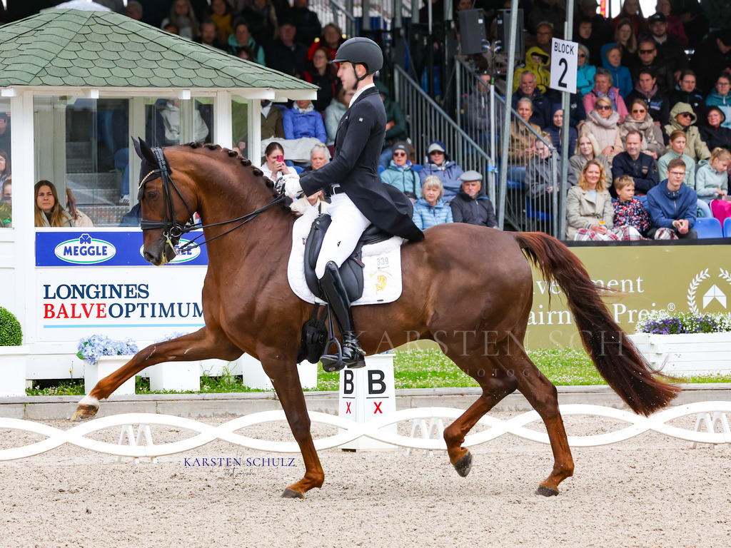 IMG_0121 | Reitsport Reiten