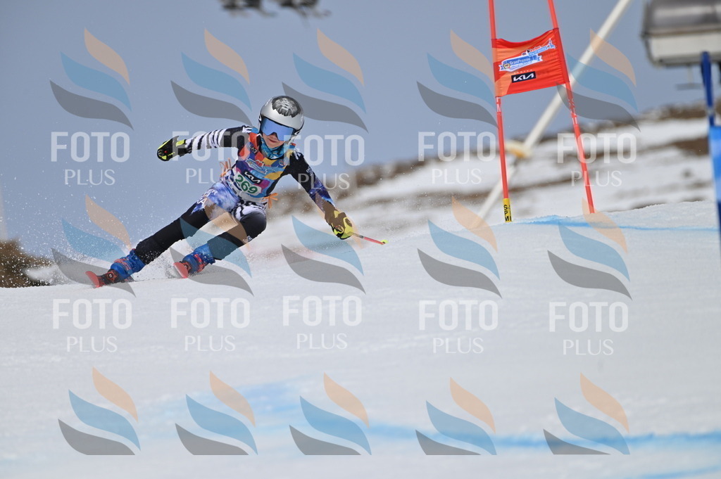 BGV_5313 | holidayphoto