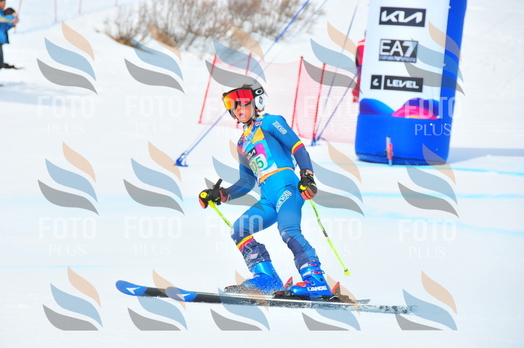 DSC_1877 | holidayphoto