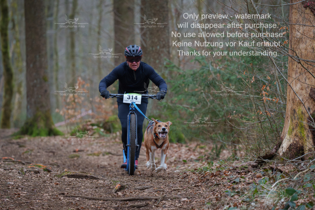 Scooter_So-78 | stephaniefillaphotographie - Realisiert mit Pictrs.com