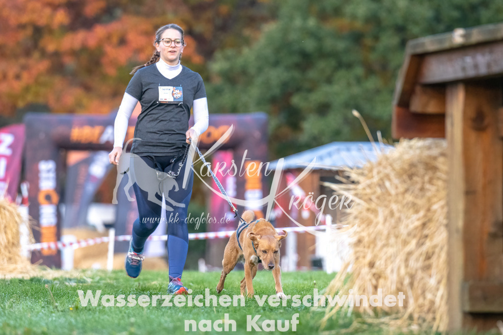 0821_ZZ90447-Bearbeitet | kk-dogfotos