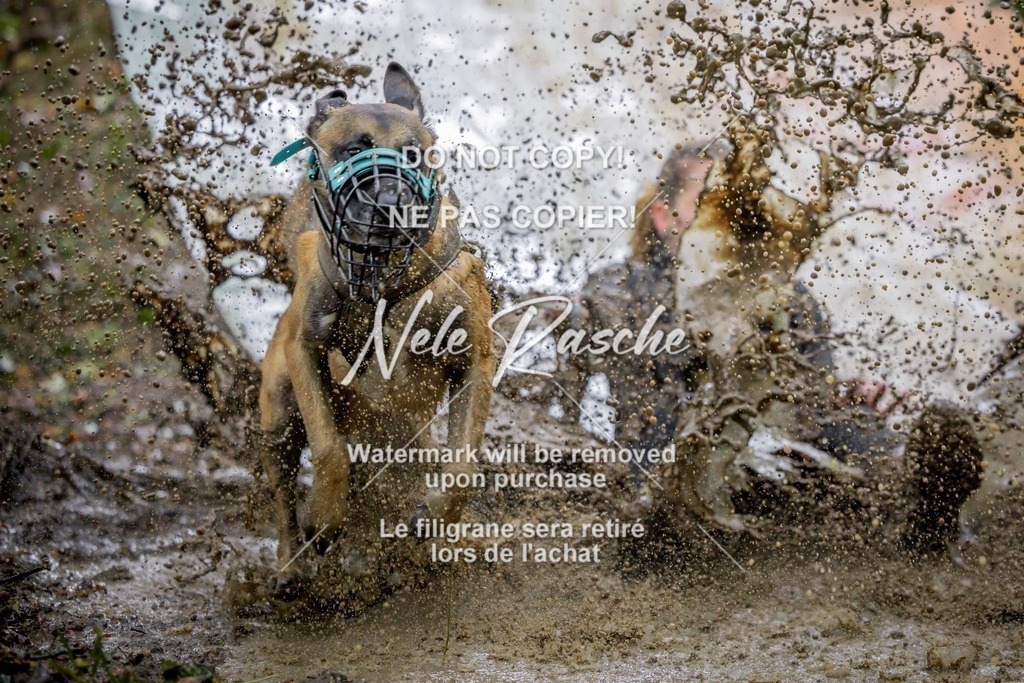 nelerasche_Hunsrück_Sa1430-1500_11-final | nelerasche