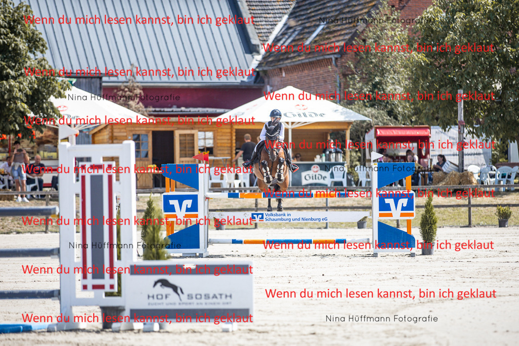 BK1A6544 | Turnierbilder Turnierfotos Nina Hüffmann Turnierfotografie Pferdefotografie Tierzeichnung Haustierzeichnung Pferdezeichnung Hundezeichnung Videograf  - Realisiert mit Pictrs.com