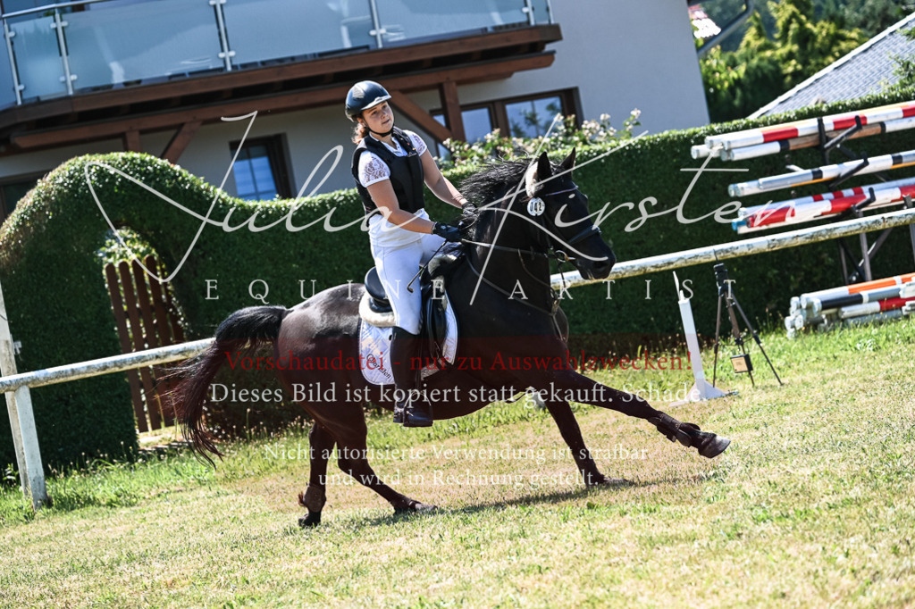 DSC_0417 | Pferde- und Turnierfotografie in Westsachsen. Pferdeportraits, Auftragszeichnungen und intuitive Kunst.