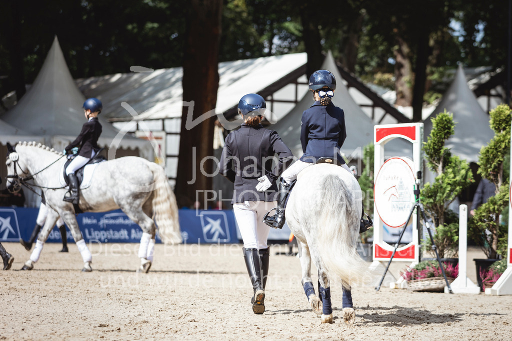 240915_OWLCh_FuehrzuegelWB-642 | Deine schönsten Turniermomente als professionelle Fotos! Entdecke hochwertige Pferdesport-Fotografie im Online-Shop. Jetzt Fotos finden & bestellen!