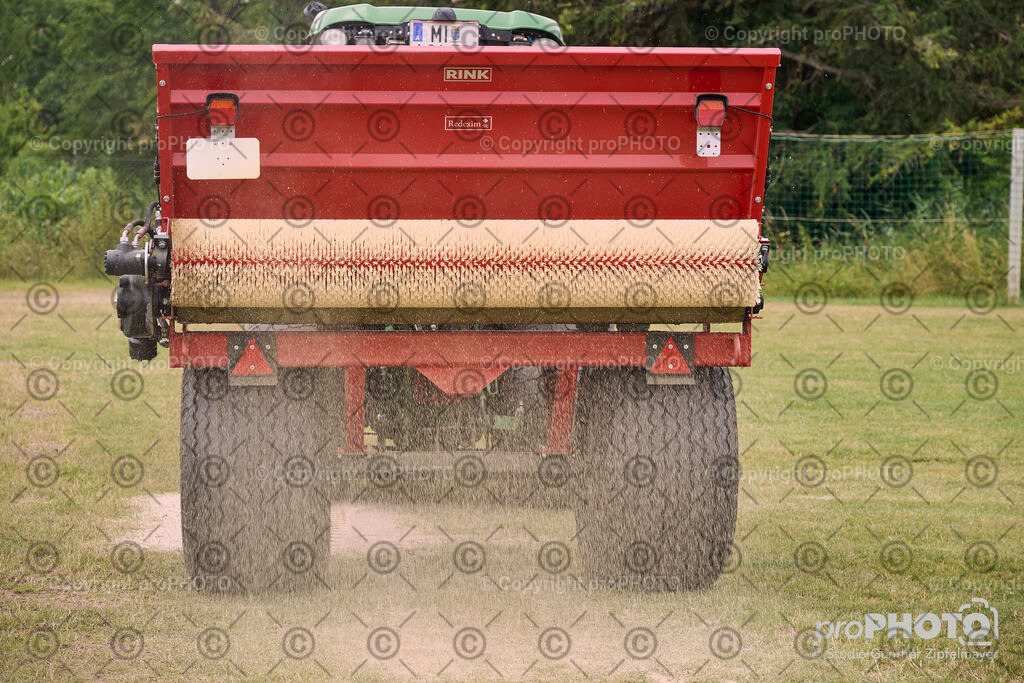 202507_Rernböck-Rasen_NZ9_1206 | proPHOTO - Realisiert mit Pictrs.com