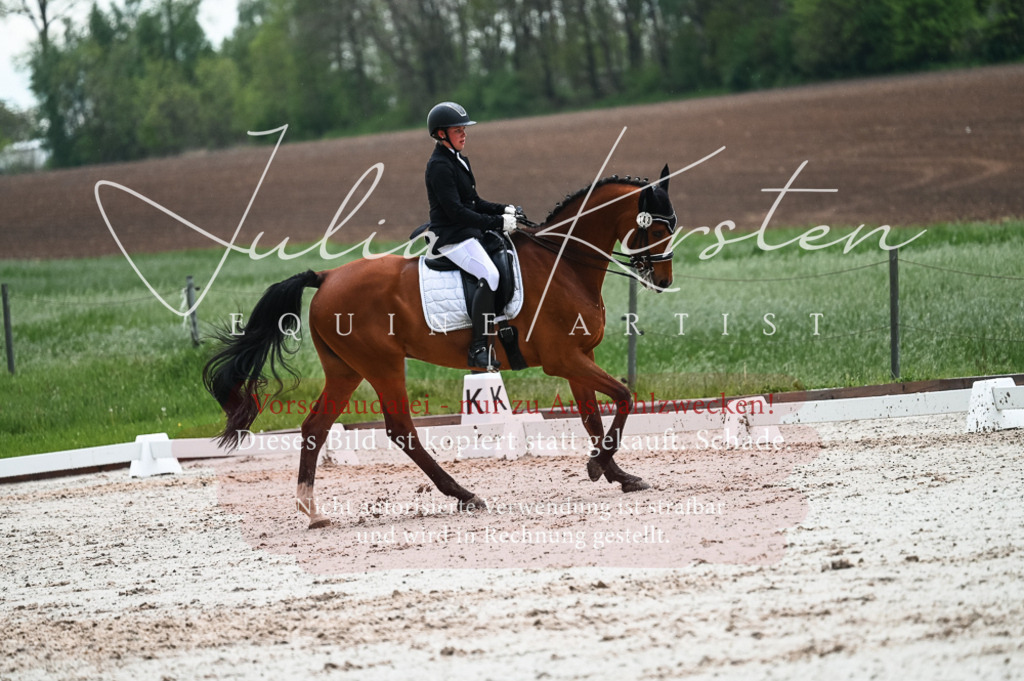 DSC_4392 | Pferde- und Turnierfotografie in Westsachsen. Pferdeportraits, Auftragszeichnungen und intuitive Kunst.
