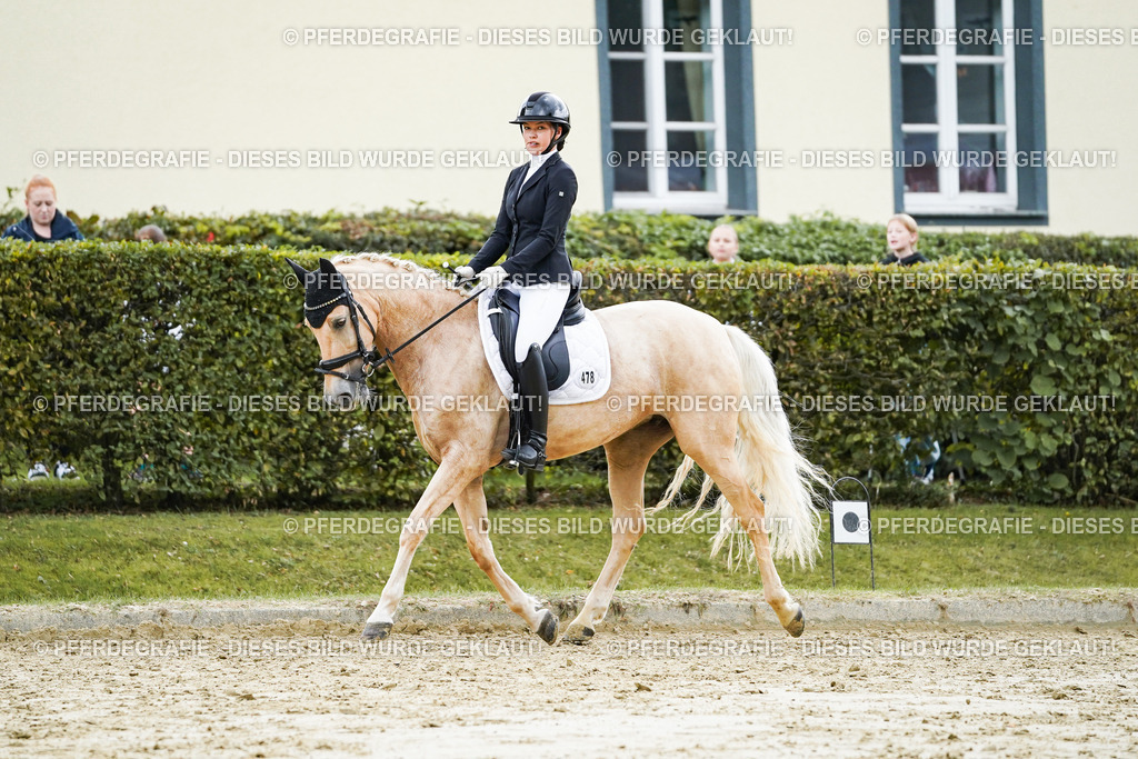 DSC06708 | Pferdegrafie