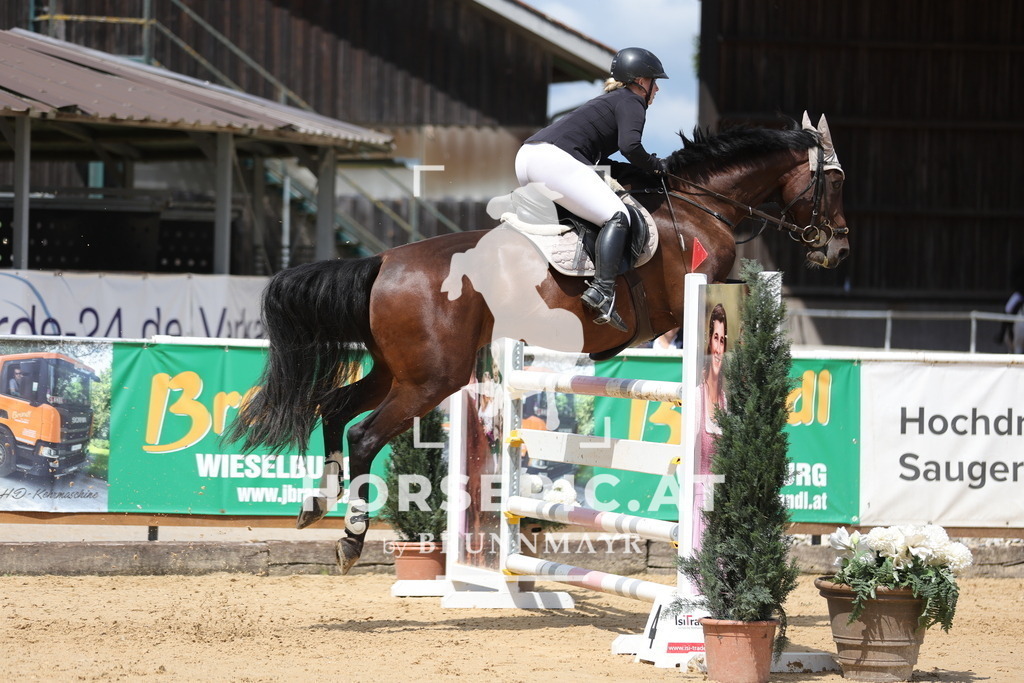 0P6A4055 | Willkommen bei Brunnmayr - Design & Fotografie – Ihrem Spezialisten für Reitturniere und Pferdeveranstaltungen in Oberösterreich, Salzburg und Bayern! Seit über 17 Jahren sind wir leidenschaftlich dabei.