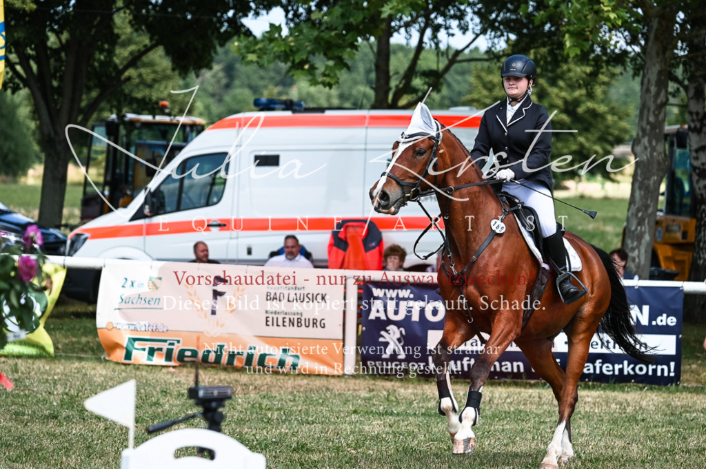 DSC_9846 | Pferde- und Turnierfotografie in Westsachsen. Pferdeportraits, Auftragszeichnungen und intuitive Kunst.