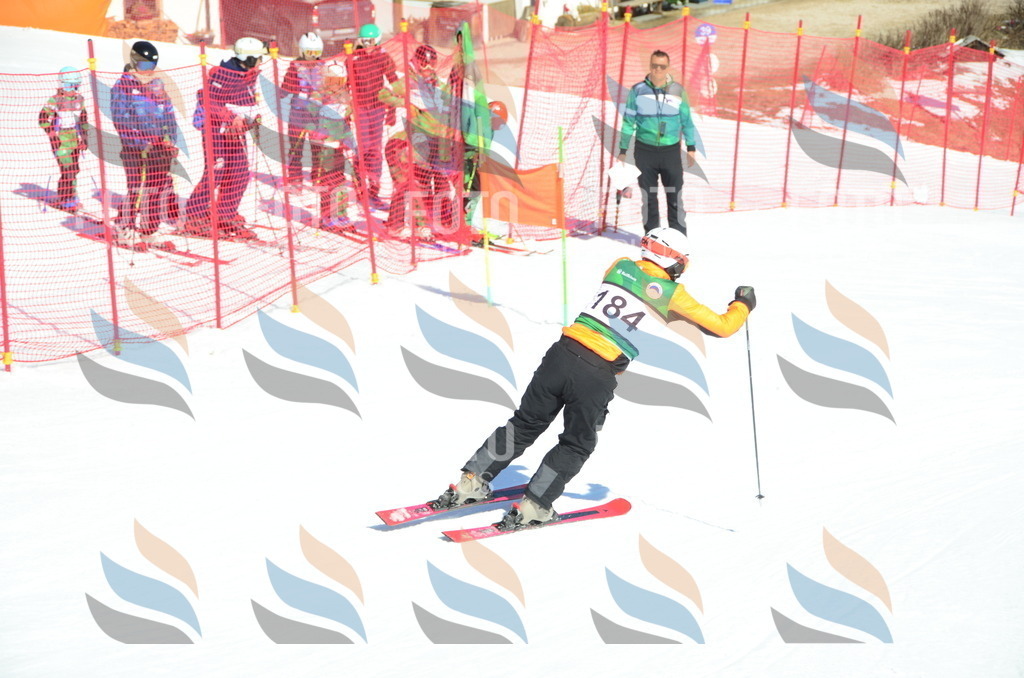 C6445 | holidayphoto