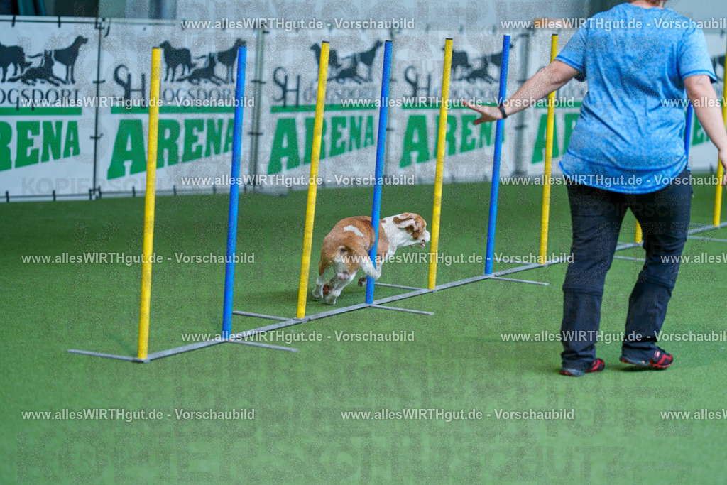@allesWIRTHgut_Tierfotografie - www.allesWIRTHgut.de - 2604261221-7R500763 | Professionelle Tierfotografie in Mönchengladbach von Daniel Wirth (allesWIRTHgut). Liebevolle & natürliche Bilder von Hunden & Katzen für unvergessliche Erinnerungen.