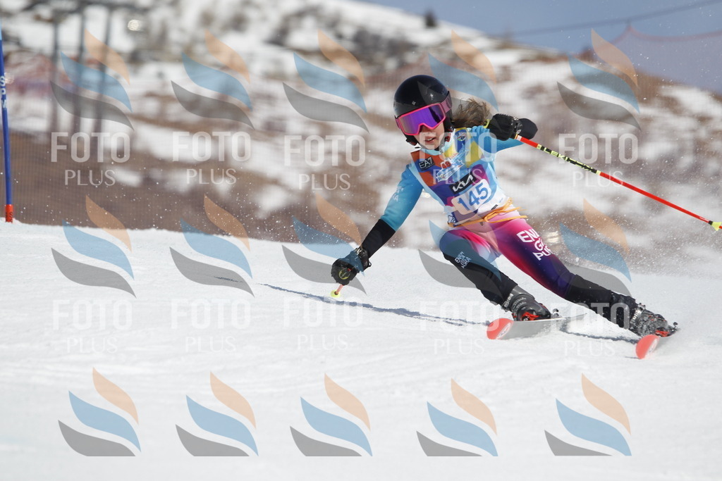 _U3G1126 | holidayphoto