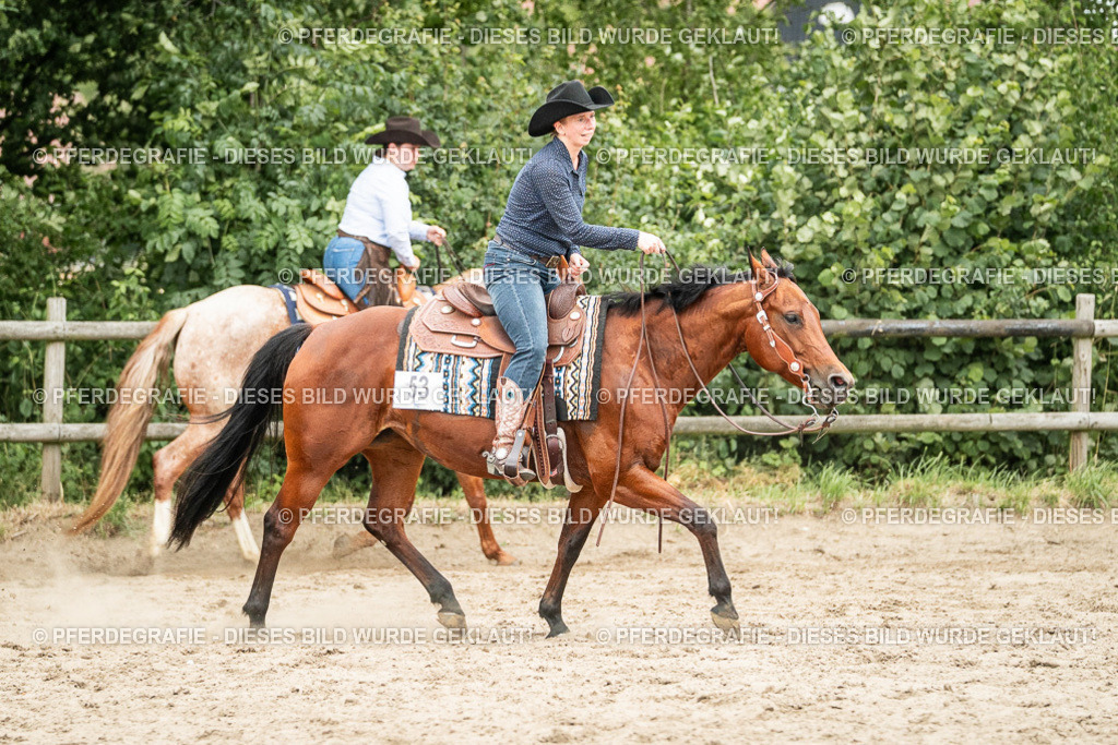 DSC04411 | Pferdegrafie