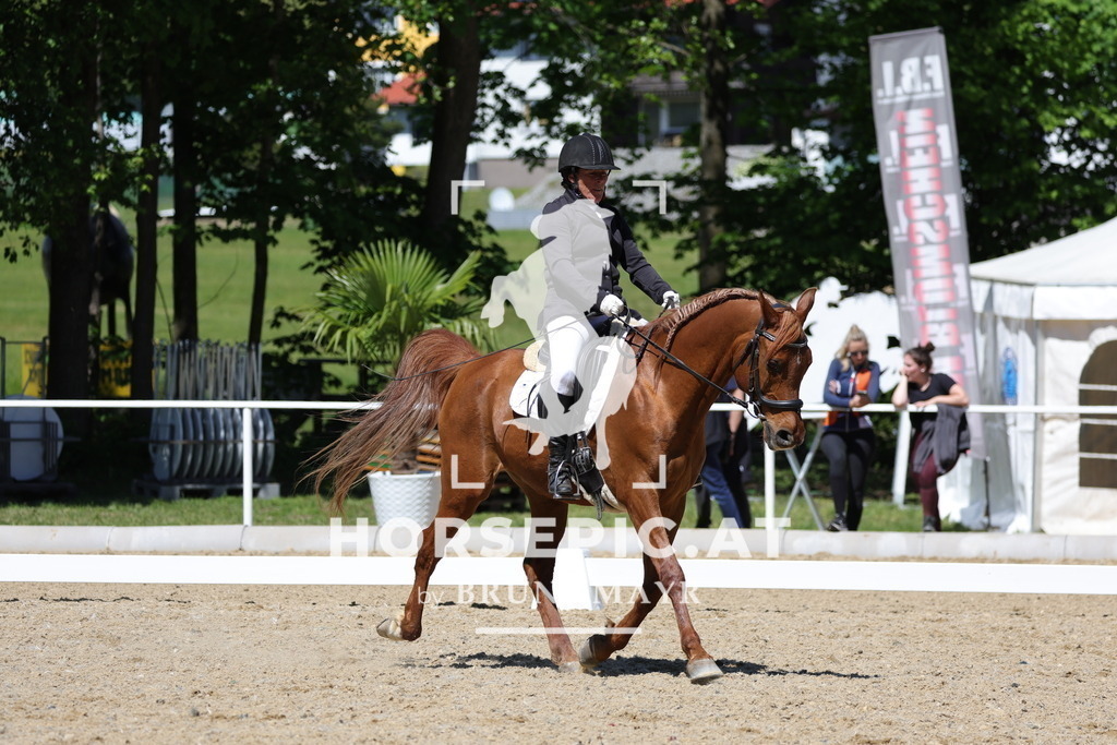 0P6A1176 | Willkommen bei Brunnmayr - Design & Fotografie – Ihrem Spezialisten für Reitturniere und Pferdeveranstaltungen in Oberösterreich, Salzburg und Bayern! Seit über 17 Jahren sind wir leidenschaftlich dabei.