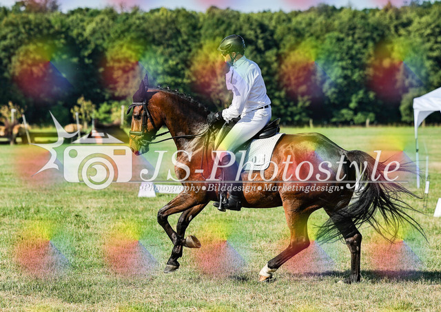 20260628_14a_VA_Dressur-48 | JS-Photostyle - Sport-/Portrait- & Eventfotografie