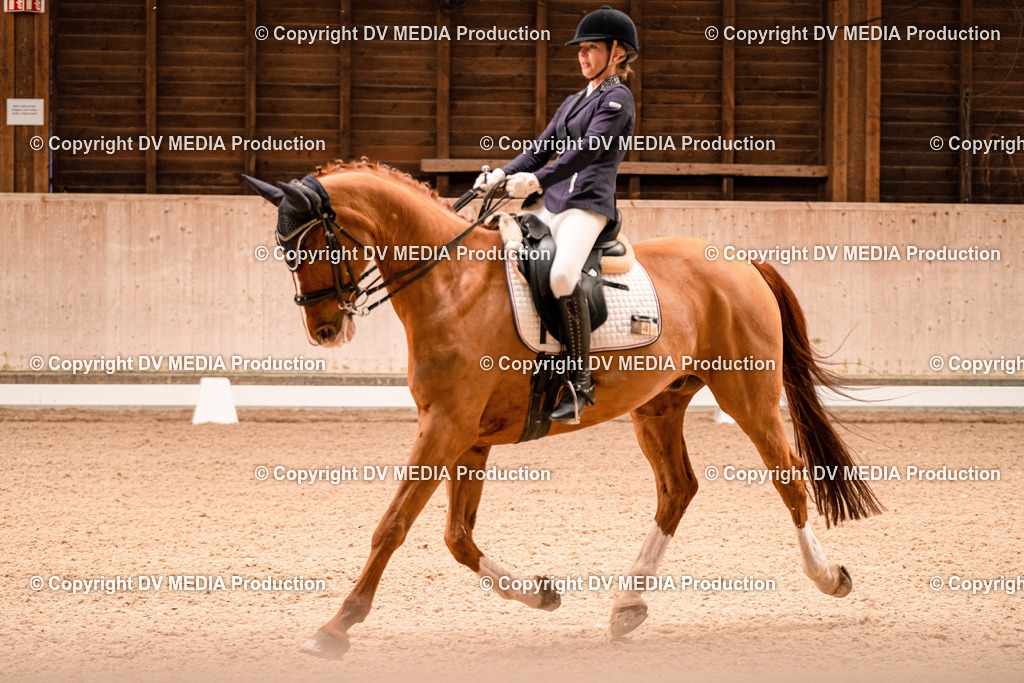 Dressur Tag 1 -185 | dv-media-shop - Realisiert mit Pictrs.com