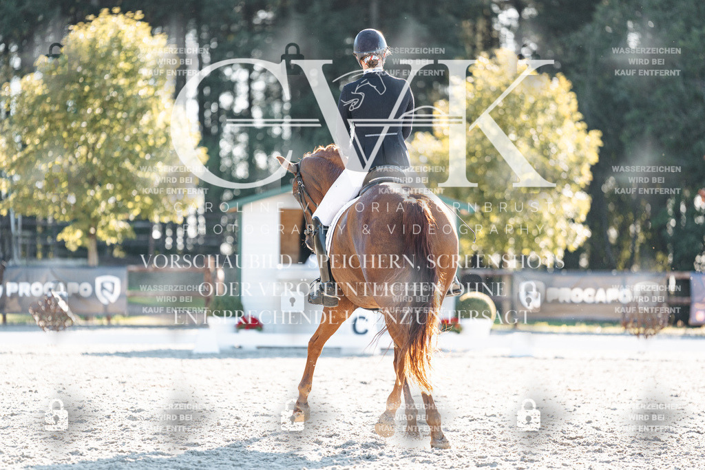 CK906958 | Turnierfotografie Pferdefotografie Trier Rheinland-Pfalz Pferdesport Reitsport Tierfotografie Sportfotografie Pferdevideo Pferdevideografie Equestrianvideography equestrianphotography  - Realisiert mit Pictrs.com