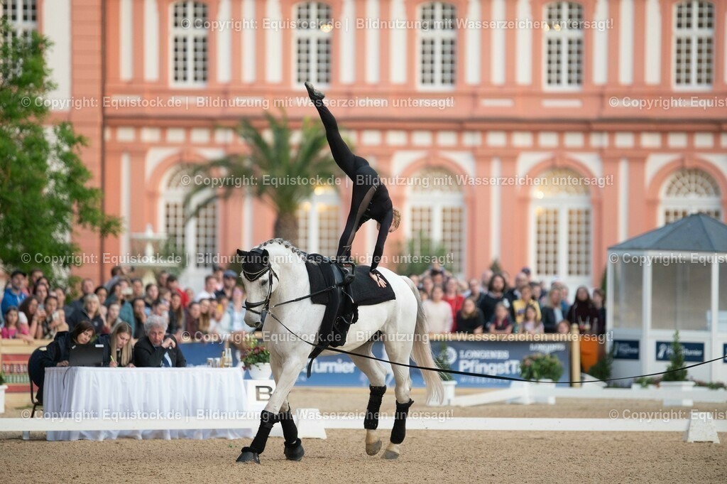 20230527_Voltigieren_NASPA_Flutlicht_0107 | equistock