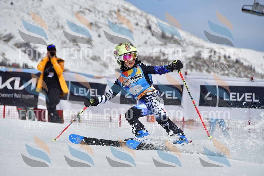 _DSC6851 | holidayphoto