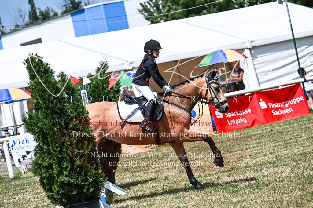 DSC_9716 | Pferde- und Turnierfotografie in Westsachsen. Pferdeportraits, Auftragszeichnungen und intuitive Kunst.