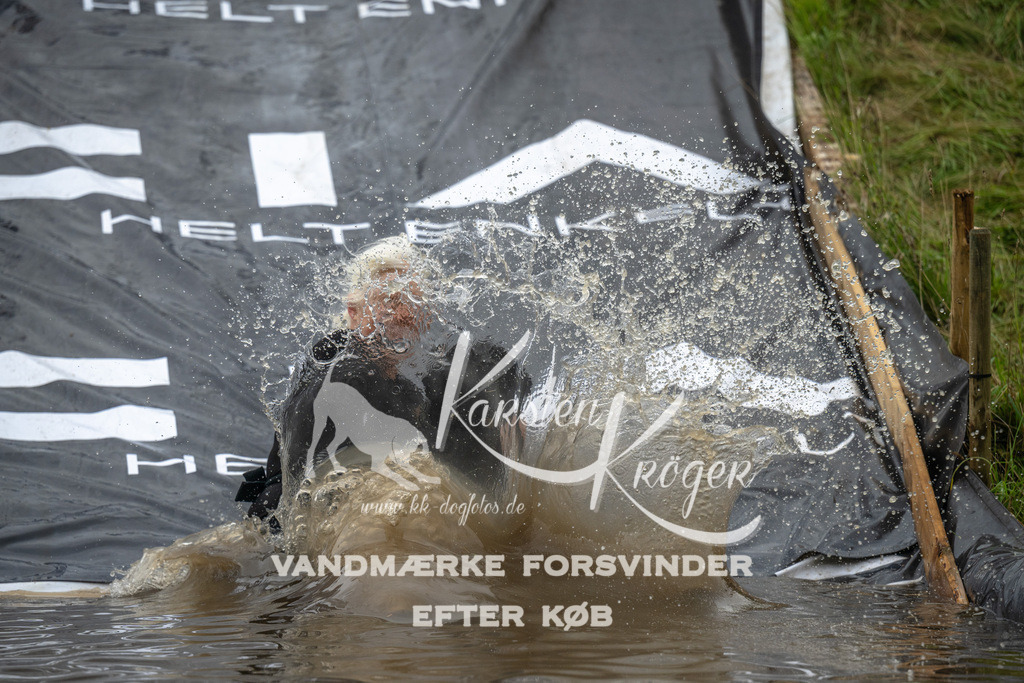 1614_ZZ92851 | kk-dogfotos