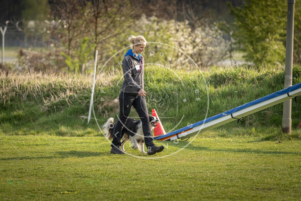 Pfotenfotografie_DV3A4739 | Hundefotografie, Tierfotograf, Pfotenfotografie, Fotoshooting Hund, Hunde Portrait, Hundesport, Hundeportraits, Heideshooting, Hunde, Sportfotograf, Hundefotograf, Turnierhundsport, THS,  - Realisiert mit Pictrs.com