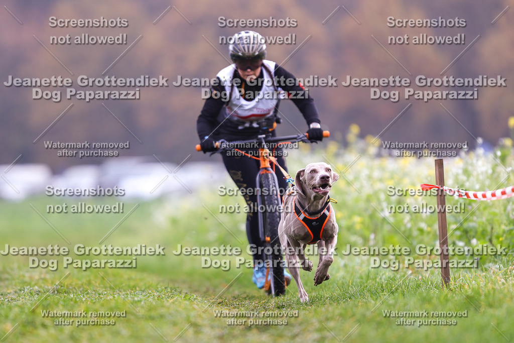 Dog Paparazzi - Visbeck 25 -286 | Dog Paparazzi Jeanette Grottendiek Fotografie & Videografie - Realisiert mit Pictrs.com