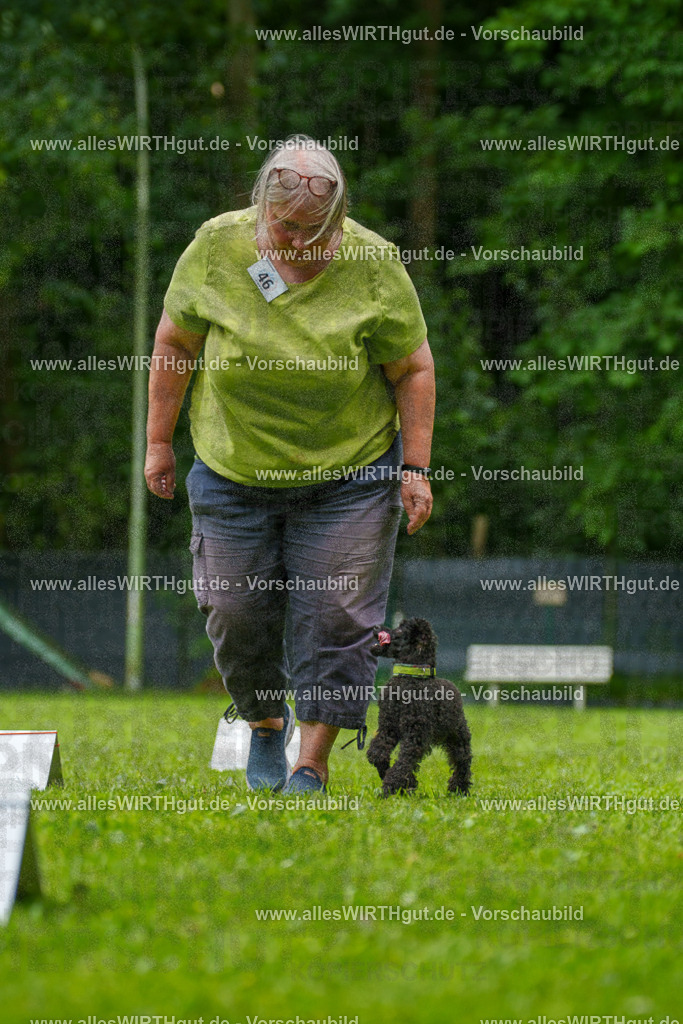 @allesWIRTHgut_Tierfotografie - www.allesWIRTHgut.de - 7R500431 | Professionelle Tierfotografie in Mönchengladbach von Daniel Wirth (allesWIRTHgut). Liebevolle & natürliche Bilder von Hunden & Katzen für unvergessliche Erinnerungen.