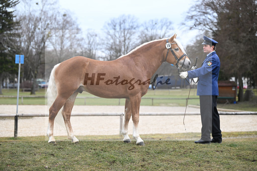Kat-Nr. 16 v. Sturmdrang_HLG Schwaiganger_2230383 | hf-fotografie - Realisiert mit Pictrs.com
