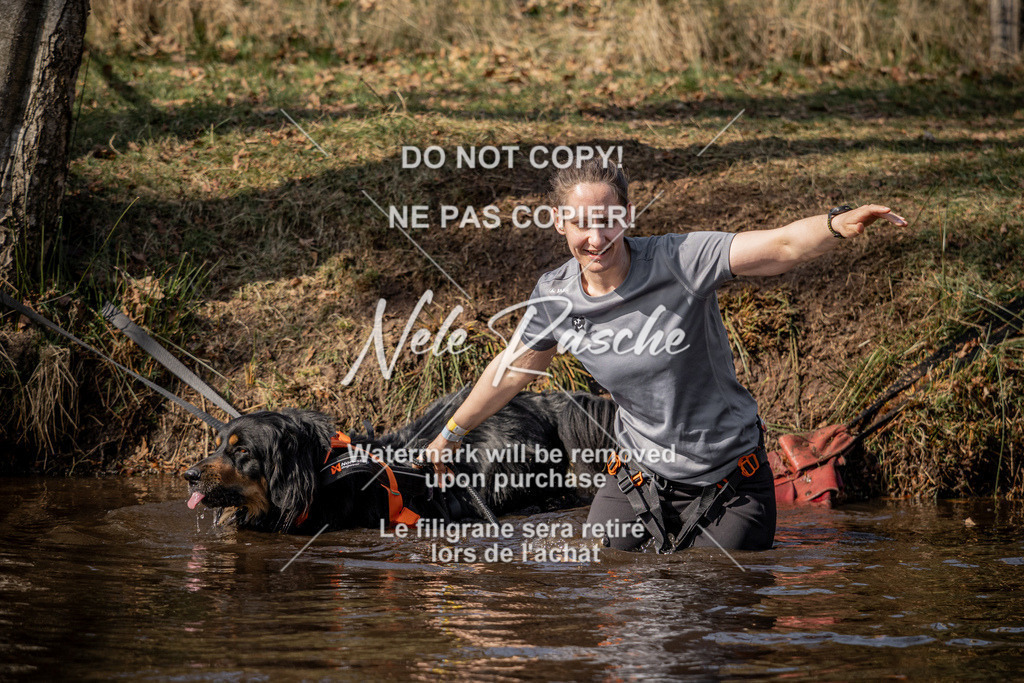 nelerasche_FS1330-1400_125 | nelerasche