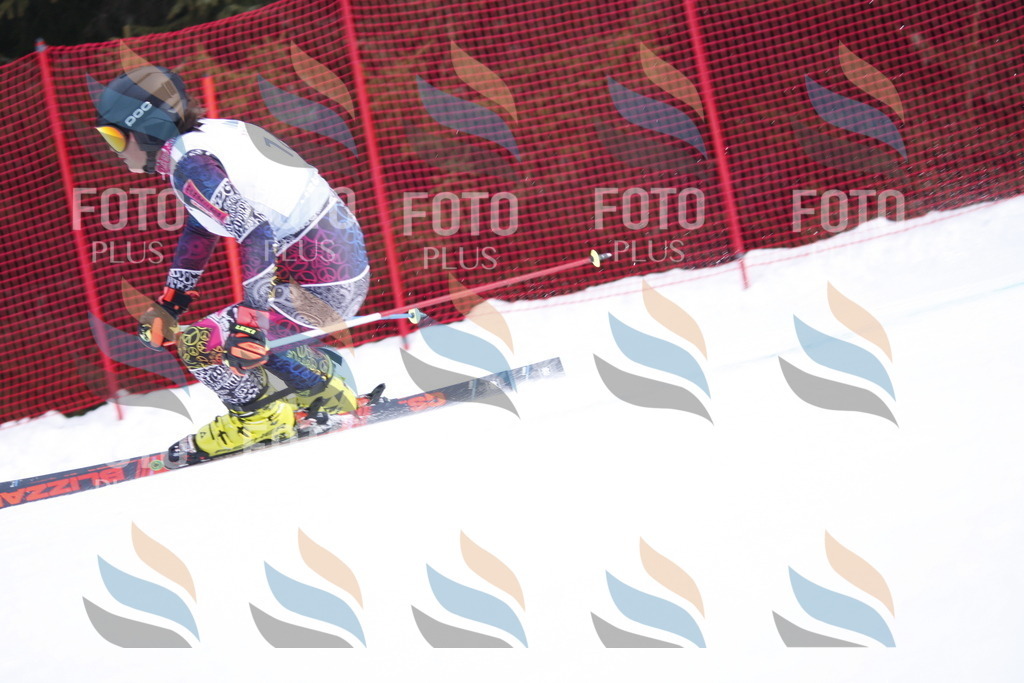 D4828 | holidayphoto