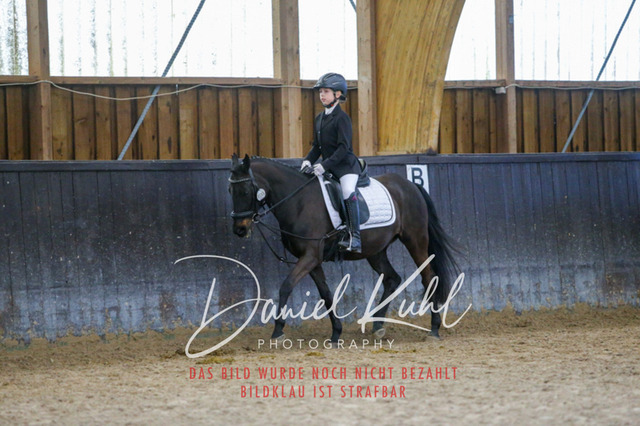 IMG_1449 | Turniersportfotografie; Pferdefotografie; Dressurfotografie