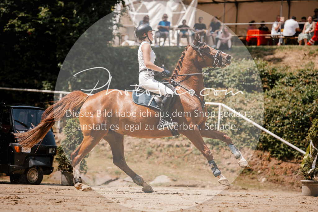 3I6A8043 | Stimmungsvolle Portraits und Reitsportfotografie im Ruhrgebiet und im Münsterland.

Pferdefotografie, Hundefotografie, Tierfotografie, Reportagen, Portraits von Tier und Mensch, Turnierfotografie in Bochum, Recklinghausen, Marl, Haltern am See, Dülmen.. - Realisiert mit Pictrs.com