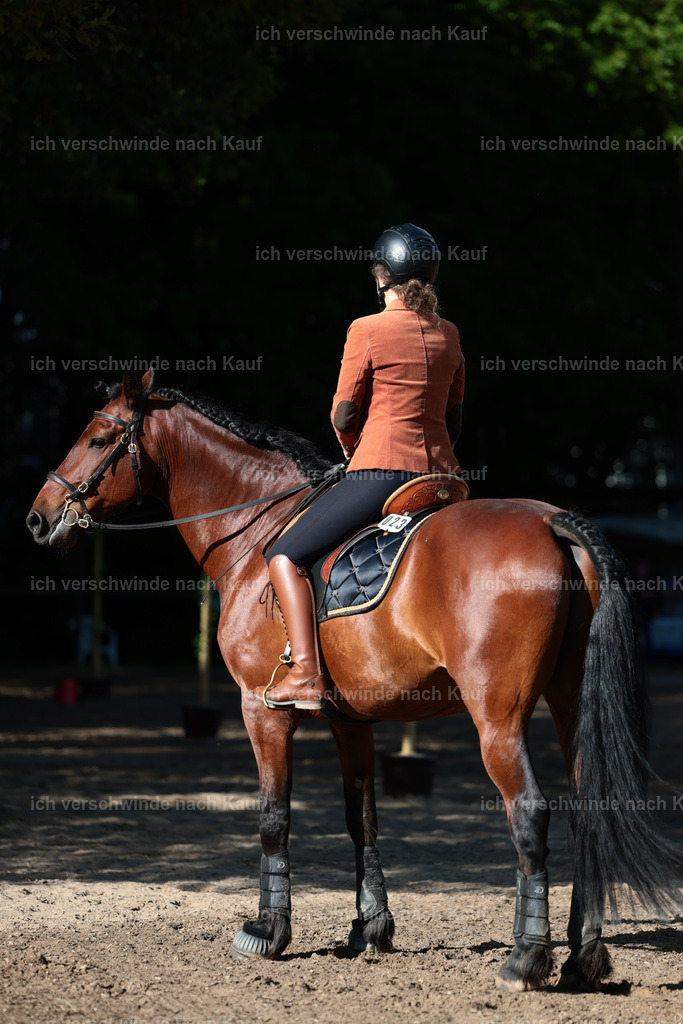 KlasseL_Stoibphotography_CAM24111.JPG | working equitationturnier fotograf videograf stoibphotography marixx film working equitation deutschland reitsport turnierfotografie eventfotografie equestrian events