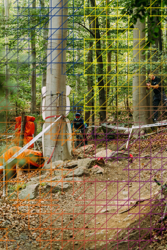 PAE-2226 | Einzigartige Fotokunst für dein Zuhause: Entdecke hochwertige Wandbilder, edle Prints und emotionale Motive von Wildlife, Natur und Landschaften - Realisiert mit Pictrs.com