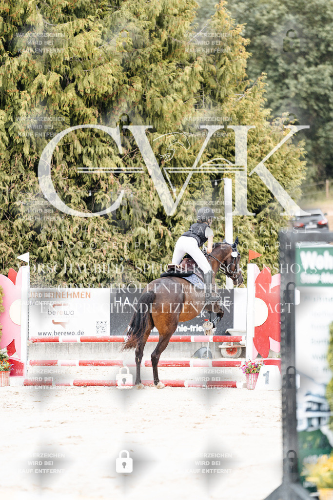 CK908081 | Turnierfotografie Pferdefotografie Trier Rheinland-Pfalz Pferdesport Reitsport Tierfotografie Sportfotografie Pferdevideo Pferdevideografie Equestrianvideography equestrianphotography  - Realisiert mit Pictrs.com