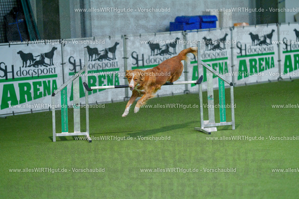 @allesWIRTHgut_Tierfotografie - www.allesWIRTHgut.de - 2604250946-7R508921 | Professionelle Tierfotografie in Mönchengladbach von Daniel Wirth (allesWIRTHgut). Liebevolle & natürliche Bilder von Hunden & Katzen für unvergessliche Erinnerungen.