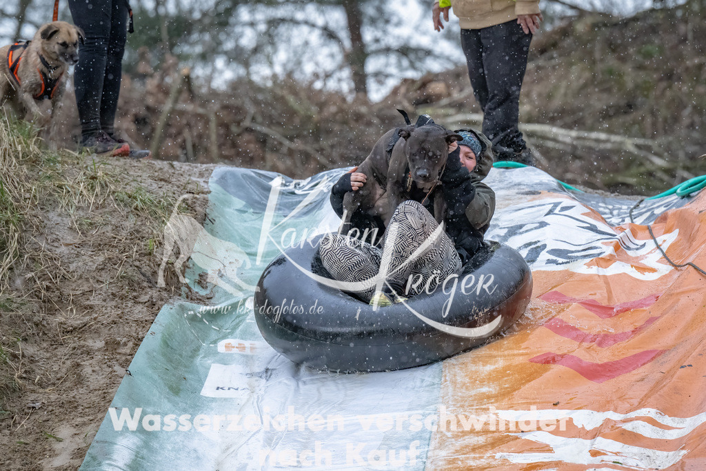 1538_ZZ90387-Bearbeitet | kk-dogfotos