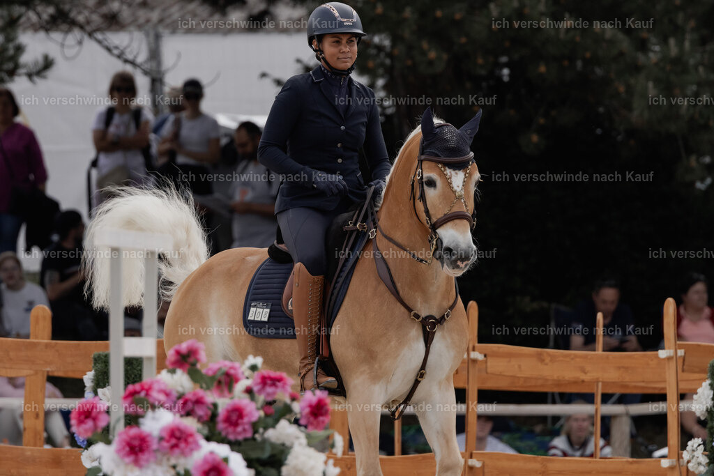 WE_ST_Stoib_308_PI2025_982 | Pferd International München 2025