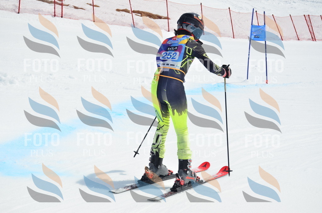 _ELE1857 | holidayphoto