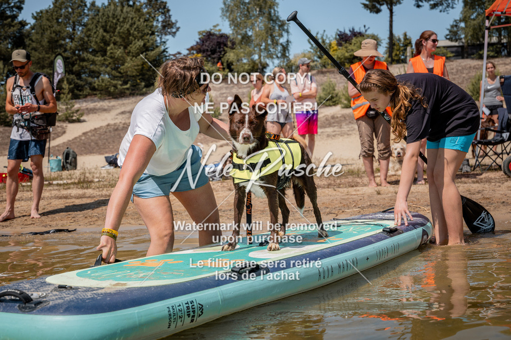 nelerasche_saSUP2_150 | nelerasche