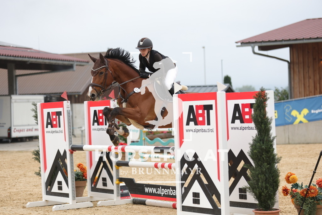 0P6A6283 | Willkommen bei Brunnmayr - Design & Fotografie – Ihrem Spezialisten für Reitturniere und Pferdeveranstaltungen in Oberösterreich, Salzburg und Bayern! Seit über 17 Jahren sind wir leidenschaftlich dabei.