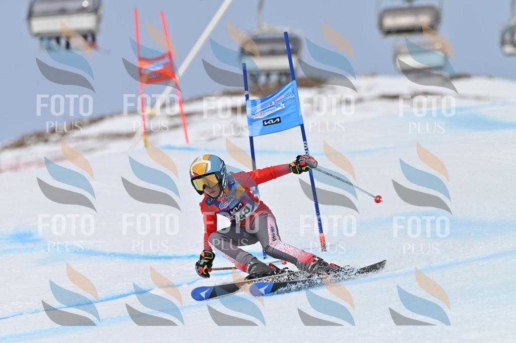 BGV_4818 | holidayphoto