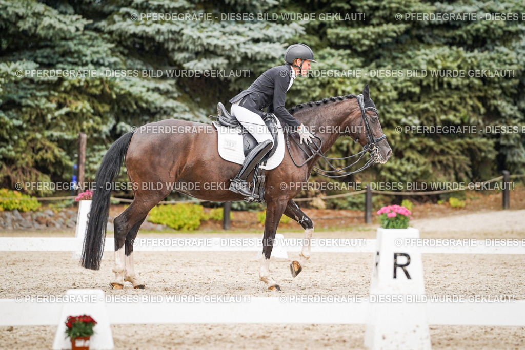 DSC07680 | Pferdegrafie